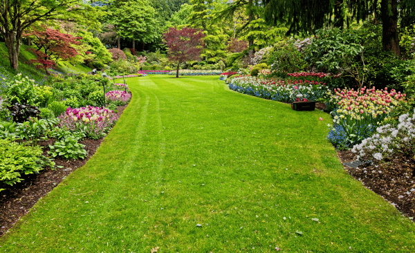 Projektowanie ogrodów