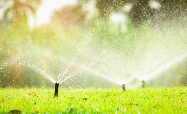 automatyczne systemy nawadniania