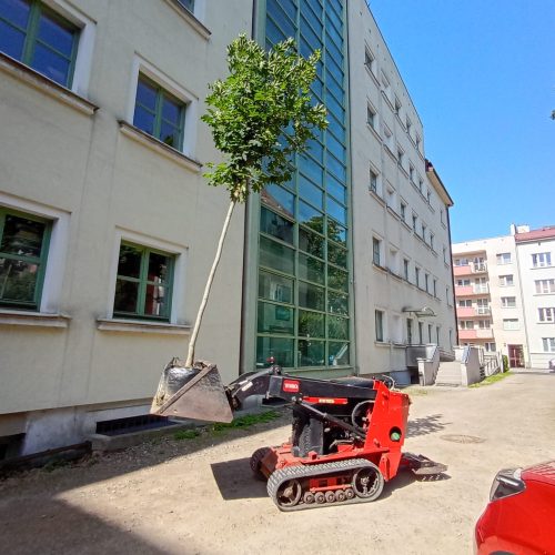 IMG_20260527_094152584_HDR